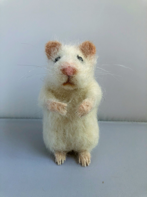 羊毛フェルトのハムスター 白 羊毛フェルト KOMA 通販 15903139 羊毛フェルトのハムスター 白 羊毛フェルト KOMA 通販 15903139