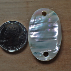 沖繩頭巾殼 2 孔零件平 4 毫米孔 第1張的照片