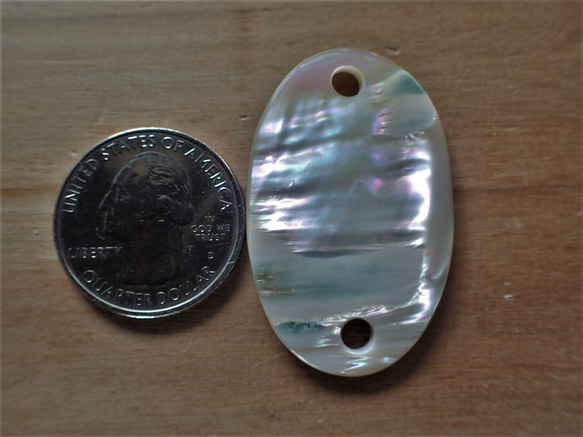 沖繩頭巾殼 2 孔零件平 4 毫米孔 第1張的照片