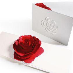 Blooming flower pop-up message card<Rose> 第1張的照片