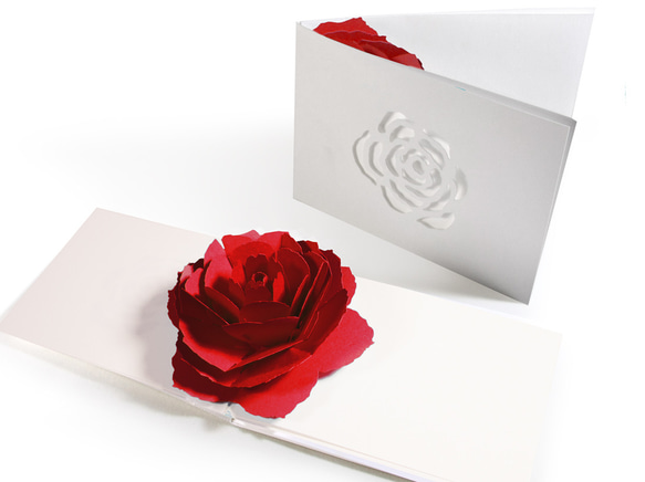 Blooming flower pop-up message card<Rose> 第1張的照片