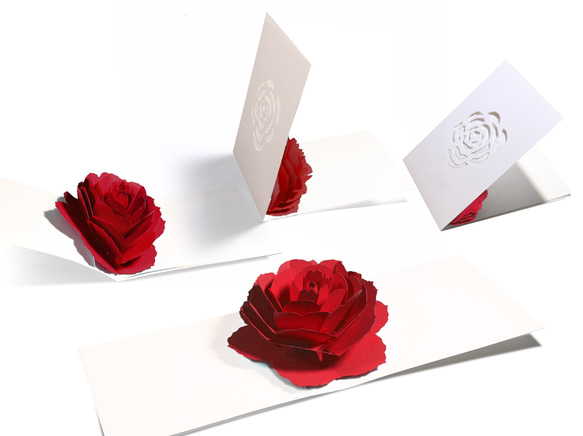 Blooming flower pop-up message card<Rose> 第2張的照片