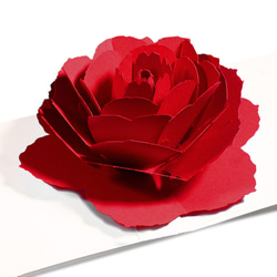 Blooming flower pop-up message card<Rose> 第3張的照片