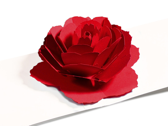 花のポップアップグリーティングカード〈レッドローズ〉forバースデー・母の日・お祝い  カラーバリエーション有 3枚目の画像