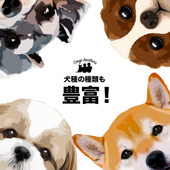 【 柴犬 毛色3色 】 Tシャツ　おしゃれ　かわいい　犬　ペット　うちの子　プレゼント　ギフト 10枚目の画像