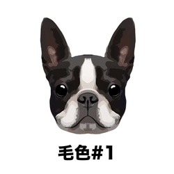 【 ボストンテリア 毛色1色】 Tシャツ　おしゃれ　かわいい　犬　ペット　うちの子　プレゼント　ギフト 5枚目の画像
