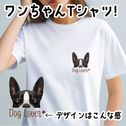 【 ボストンテリア 毛色1色】 Tシャツ　おしゃれ　かわいい　犬　ペット　うちの子　プレゼント　ギフト 1枚目の画像