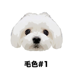 【 マルチーズ 毛色1色 】 Tシャツ　おしゃれ　かわいい　犬　ペット　うちの子　プレゼント　ギフト 5枚目の画像