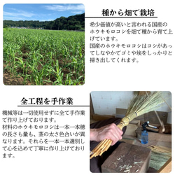  第18張的照片