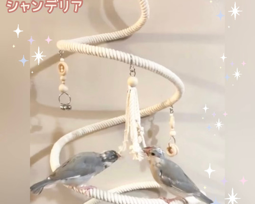 322cfe069211a10feb3c01fd1d6bcd