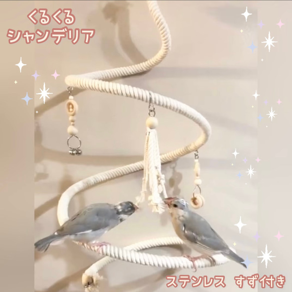 安全で安心《くるくるシャンデリア》文鳥さん,セキセイさんサイズ✩.*˚鳥おもちゃ インコおもちゃ 文鳥ブランコ 1枚目の画像