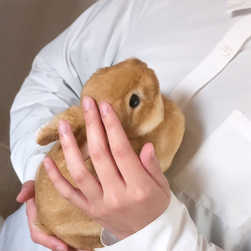 KUM SOLT 有名作家のうさぎのぬいぐるみ - メルカリ