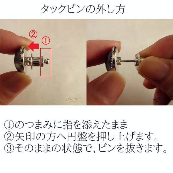 アバロンシェル×クリスタルのシンプルタイタック 9枚目の画像