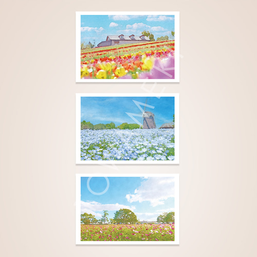 展示原画ポストカード❤️ 真菰　9枚セット ポストカード3枚セット | MASHIBA'S meeting place