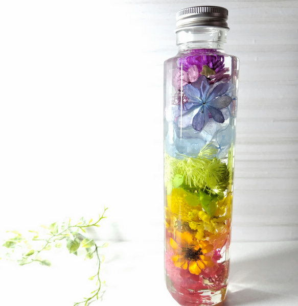 おしゃれギフト】ハーバリウム レインボーカラー 360°違う味わい  