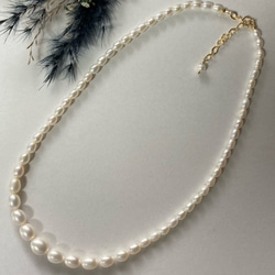 fa12de8fcef104ebe41840d0fbd8bd