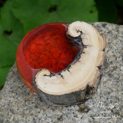 木の雫シリーズ　cherry red 8枚目の画像