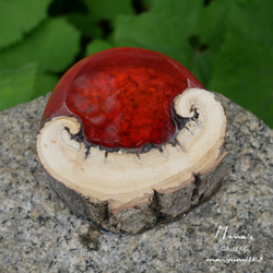 木の雫シリーズ　cherry red 7枚目の画像