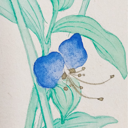 原画】「つゆ草」日本画A4 絵画 すがた 通販 15908382｜Creema