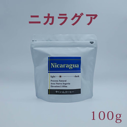 コーヒー豆　浅煎り ニカラグア 100g 1枚目の画像