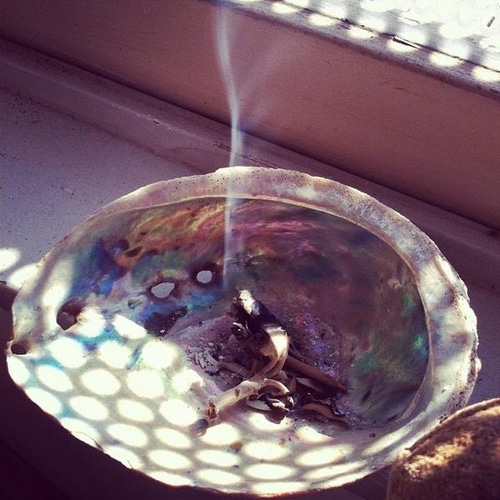 アワビの殻／あわび／鮑／アバロンシェル／12センチ前後 5枚セット