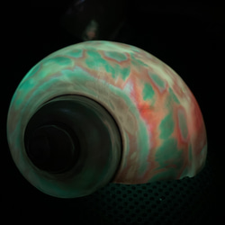 夜光貝　天然貝殻　両面磨き　数量限定　インテリア　ルアー　螺鈿　アクセサリー 3枚目の画像