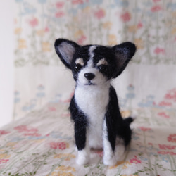 ちょこ様ご依頼品 ダックスちゃん 羊毛フェルト mi-wa 通販 16305523