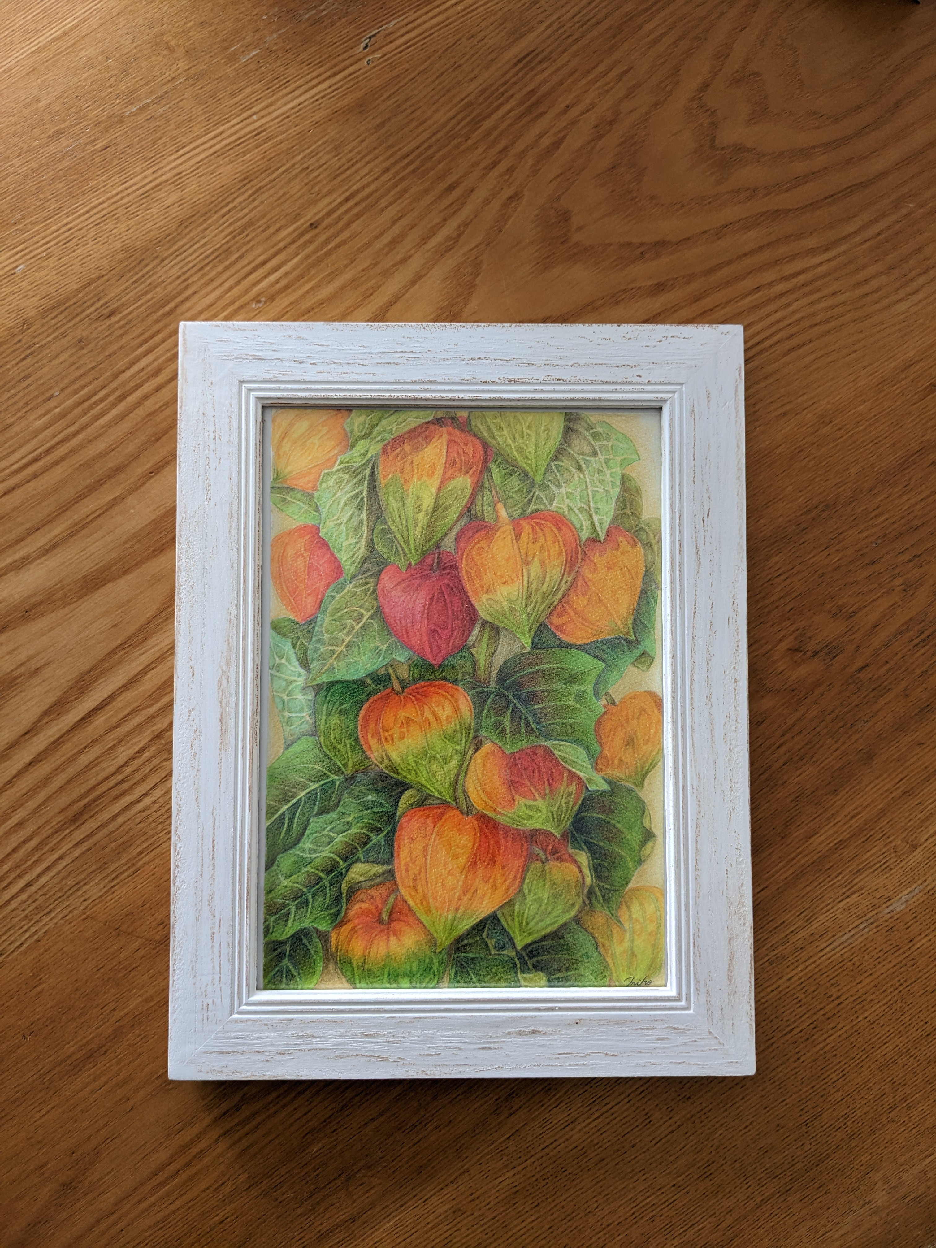 「ホオズキ」原画　絵画　木製パネル ホオズキ」原画 絵画 木製パネル ホオズキ」原画 絵画 木製