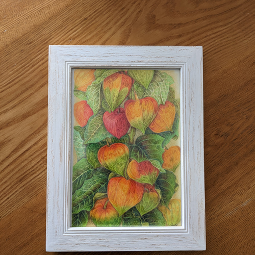 「ホオズキ」原画　絵画　木製パネル ホオズキ」原画 絵画 木製パネルの通販 by wishi shop｜ラクマ