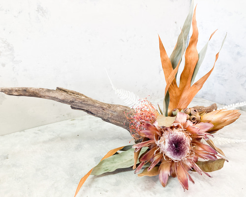 5546a74eda09b8f2fcc5301f9b888b