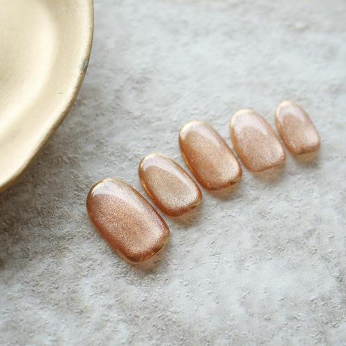 No.338 ネイルチップ　ブラウン　茶　ニュアンス　ちゅるん　マグネット　秋 No.338 ネイルチップ ブラウン 茶 ニュアンス ちゅるん