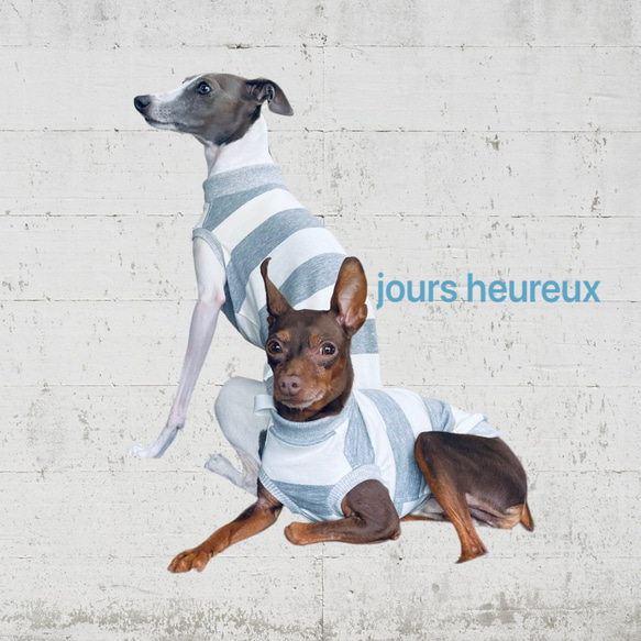 イタグレ】wide border タンクトップ ペット服・アクセサリー jours