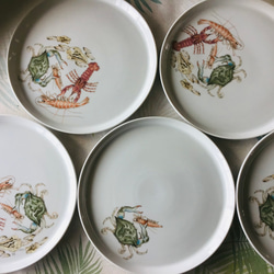 レタスの皿 葉っぱの絵取り皿 三枚セット 中皿 私の食器棚 通販