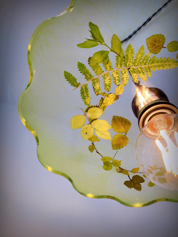【植物のある暮らし】グリーンのランプシェード 5枚目の画像