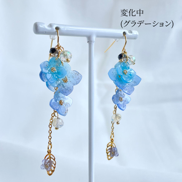 色が変わる紫陽花イヤリング/ピアス ٭❀* 淡いグラデーション 揺れる大人可愛い耳飾り 華やか 軽い レインコーデ 13枚目の画像