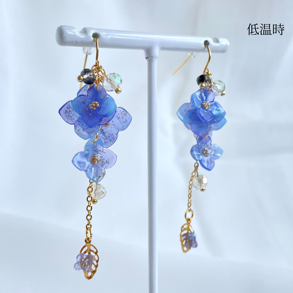 色が変わる紫陽花イヤリング/ピアス ٭❀* 淡いグラデーション 揺れる大人可愛い耳飾り 華やか 軽い レインコーデ 5枚目の画像