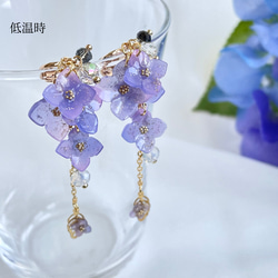 色が変わる紫陽花イヤリング/ピアス ٭❀* 淡いグラデーション 揺れる大人可愛い耳飾り 華やか 軽い レインコーデ 11枚目の画像