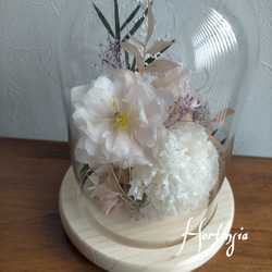 White × pinkトルコキキョウ クリスマスローズ ドーム型アレンジメント お供え 仏花プリザーブドフラワー 1枚目の画像