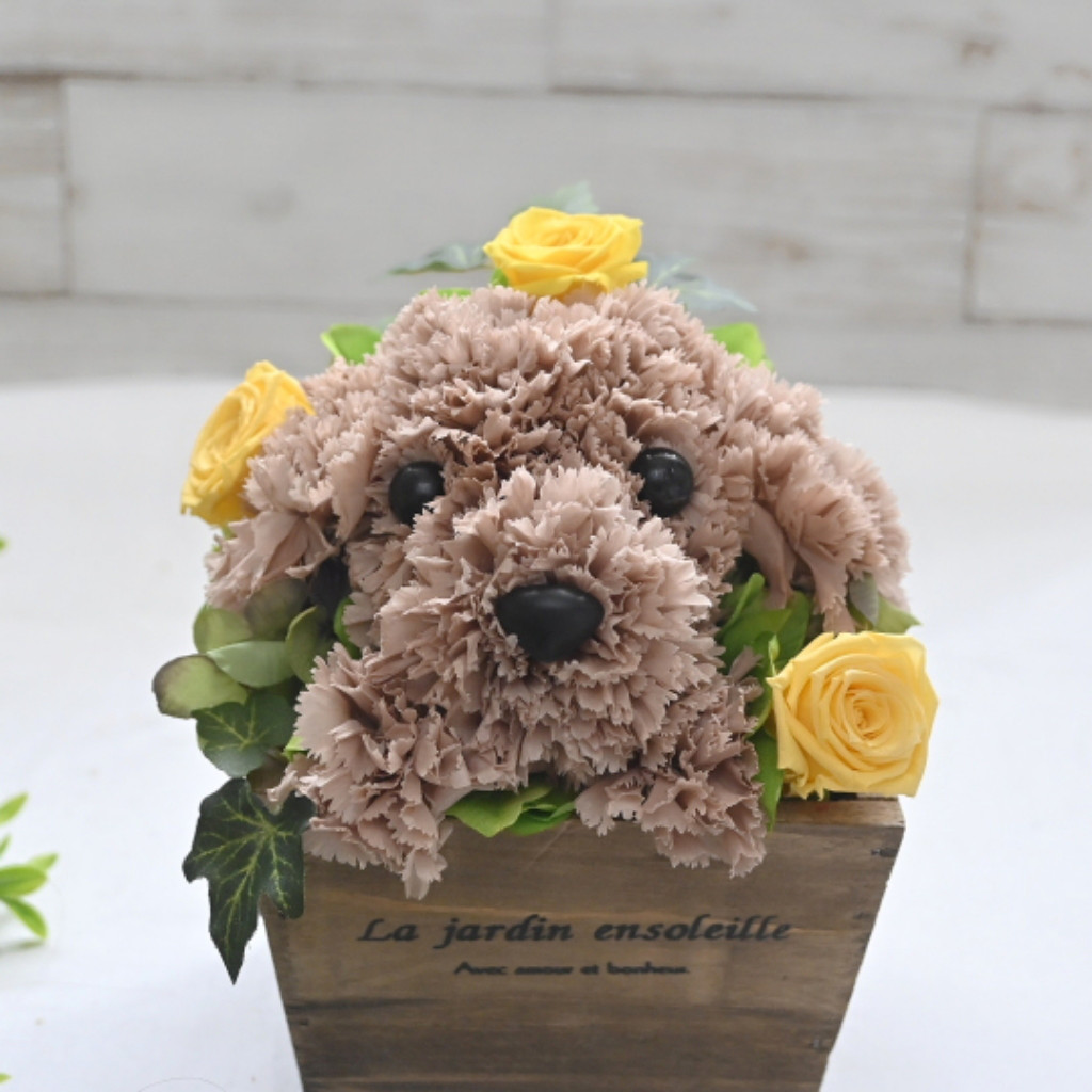 フラワーペット【トイプードル・淡い茶色】プリザーブドフラワー 犬 花 カーネーション プレゼント お供え 誕生日 母の日