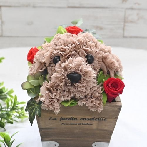 フラワーペット【トイプードル・淡い茶色】プリザーブドフラワー 犬 花 