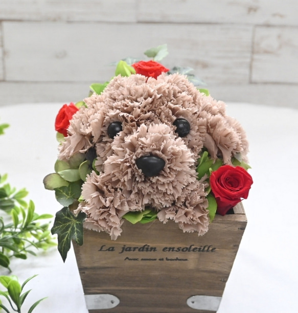 プリザーブドフラワー犬 トイプードル cute 結婚祝い 誕生日