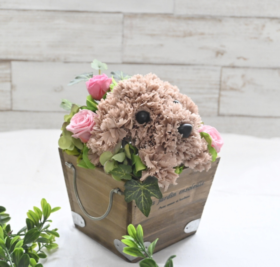 フラワーペット【トイプードル・淡い茶色】プリザーブドフラワー 犬 花 カーネーション プレゼント お供え 誕生日 母の日