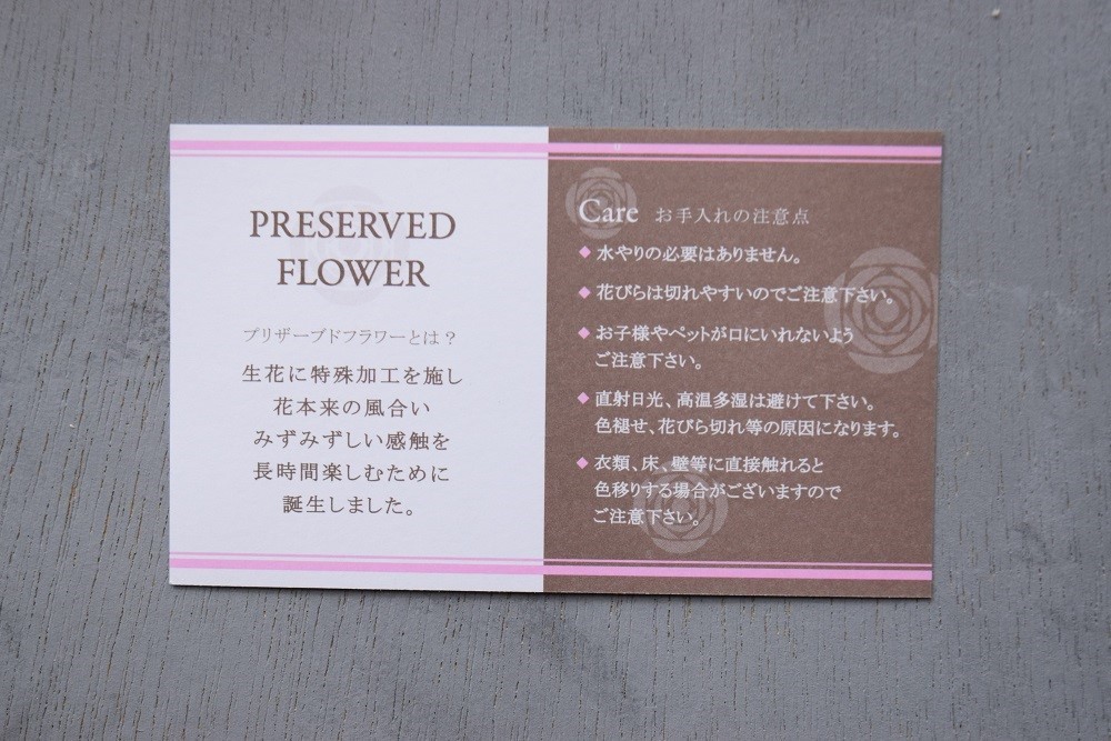 フラワーペット【トイプードル・淡い茶色】プリザーブドフラワー 犬 花 カーネーション プレゼント お供え 誕生日 母の日