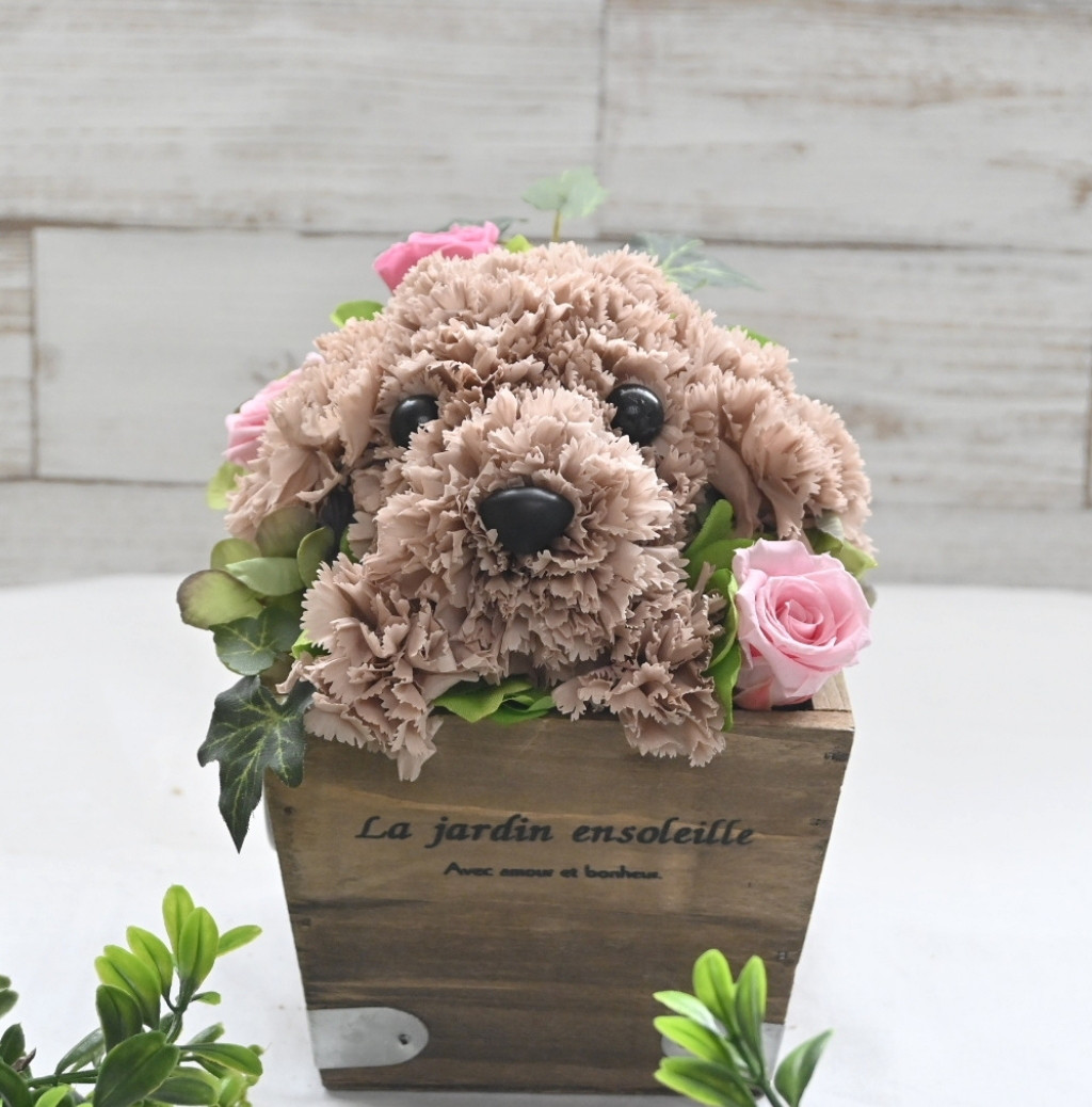 フラワーペット【トイプードル・淡い茶色】プリザーブドフラワー 犬 花 カーネーション プレゼント お供え 誕生日 母の日