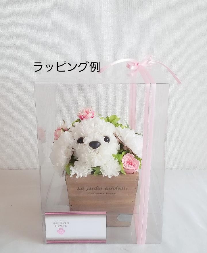 フラワーペット【トイプードル・淡い茶色】プリザーブドフラワー 犬 花 カーネーション プレゼント お供え 誕生日 母の日