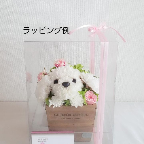 フラワーペット【トイプードル・淡い茶色】プリザーブドフラワー 犬 花