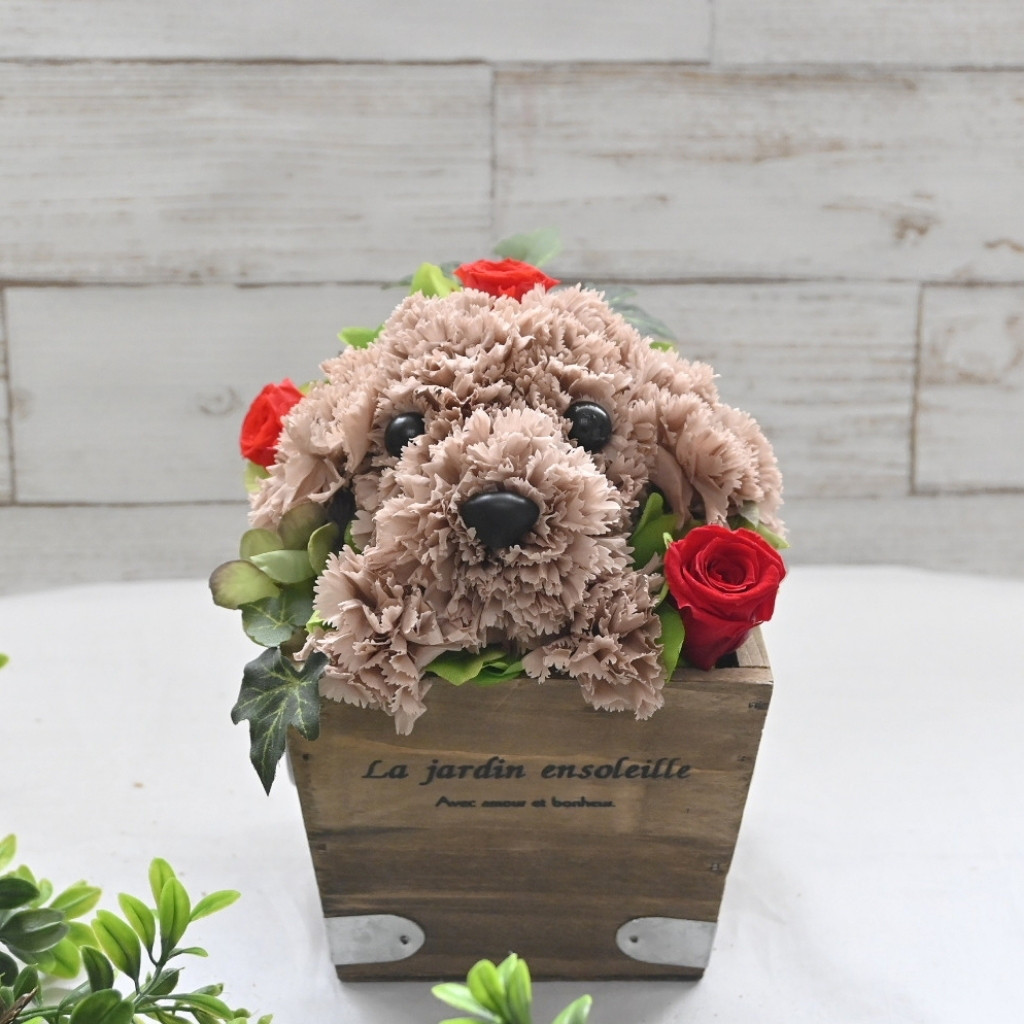 フラワーペット【トイプードル・淡い茶色】プリザーブドフラワー 犬 花 カーネーション プレゼント お供え 誕生日 母の日