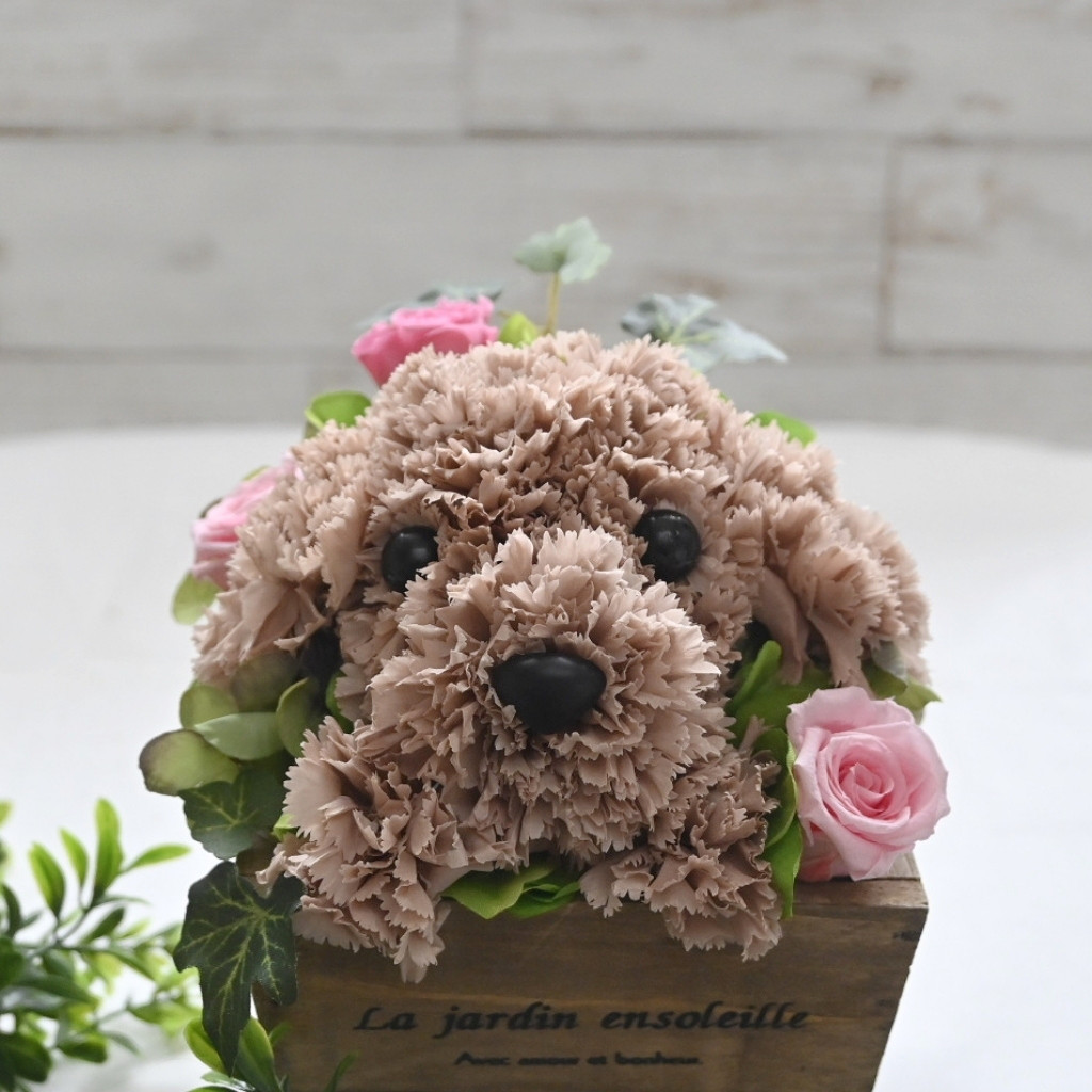 フラワーペット【トイプードル・淡い茶色】プリザーブドフラワー 犬 花 カーネーション プレゼント お供え 誕生日 母の日