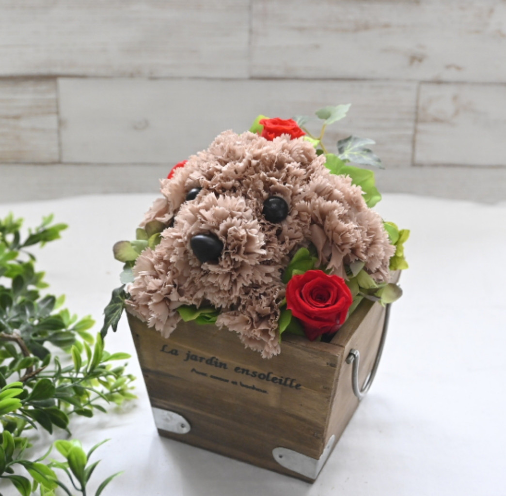 フラワーペット【トイプードル・淡い茶色】プリザーブドフラワー 犬 花 カーネーション プレゼント お供え 誕生日 母の日