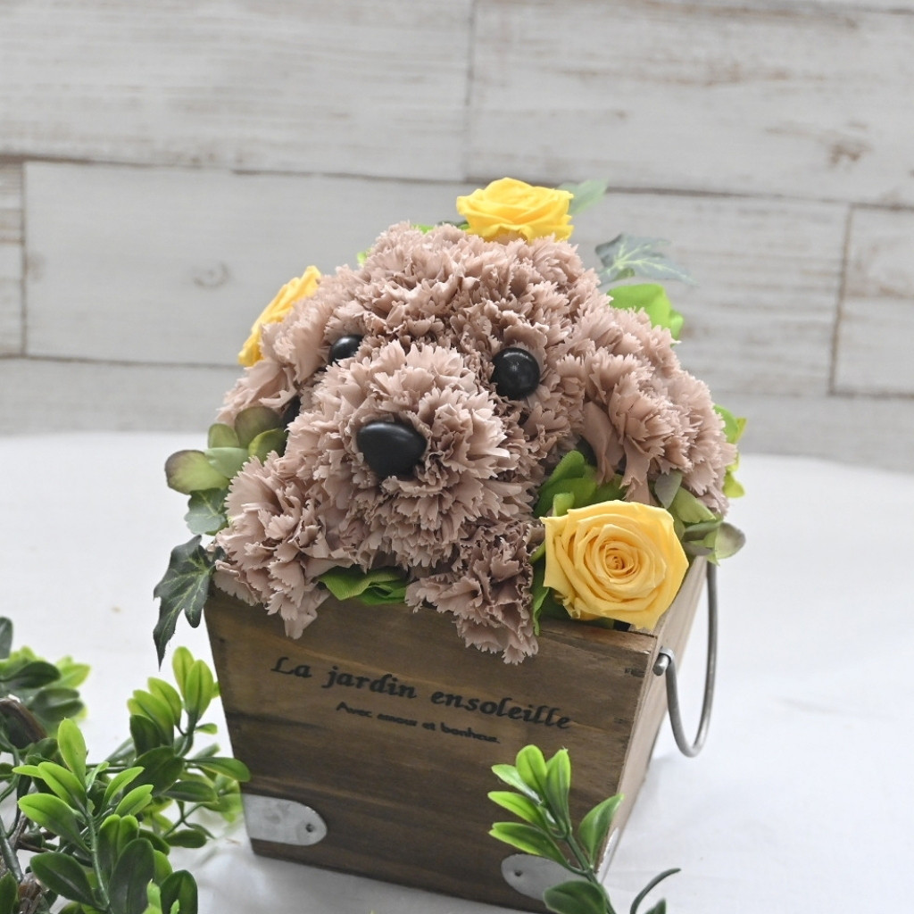フラワーペット【トイプードル・淡い茶色】プリザーブドフラワー 犬 花 カーネーション プレゼント お供え 誕生日 母の日